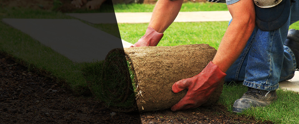 Port Jefferson Landscapers